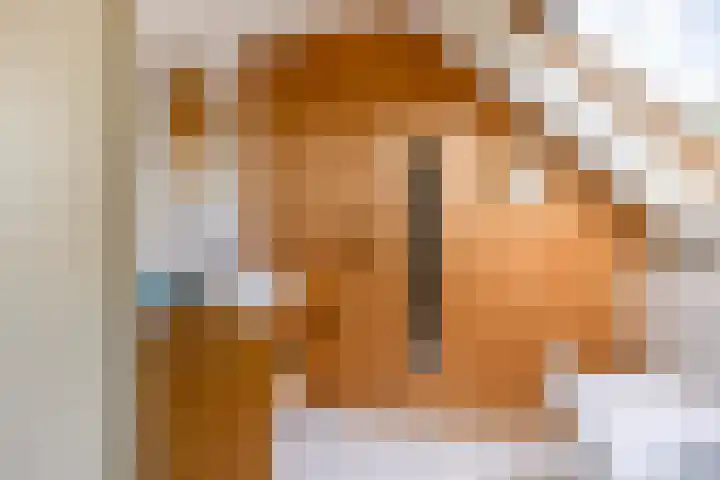 Doerebout 26 Koudum thumbnail 46