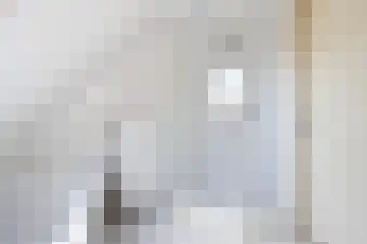 Doerebout 26 Koudum thumbnail 47