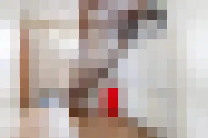Doerebout 26 Koudum thumbnail 5