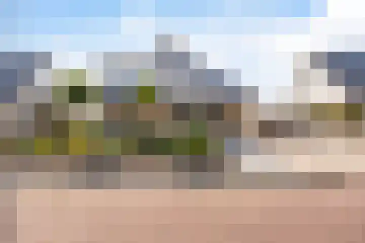 Doerebout 26 Koudum thumbnail 54