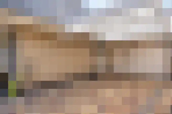 Doerebout 26 Koudum thumbnail 55