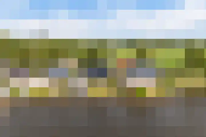 Doerebout 26 Koudum thumbnail 56