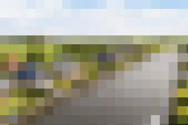 Doerebout 26 Koudum thumbnail 57