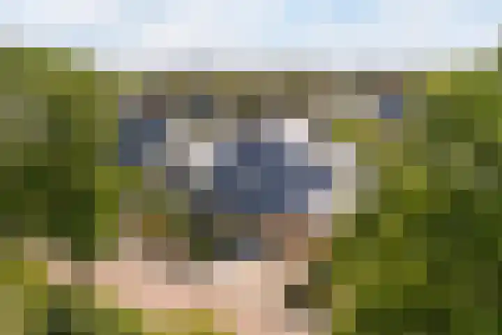 Doerebout 26 Koudum thumbnail 58