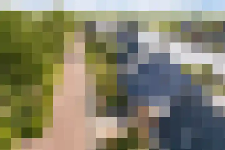 Doerebout 26 Koudum thumbnail 59