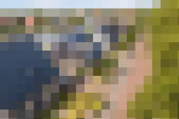 Doerebout 26 Koudum thumbnail 60