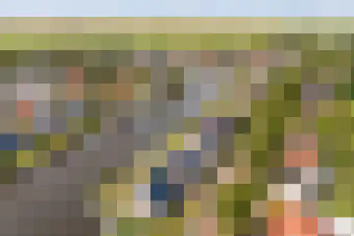 Doerebout 26 Koudum thumbnail 61