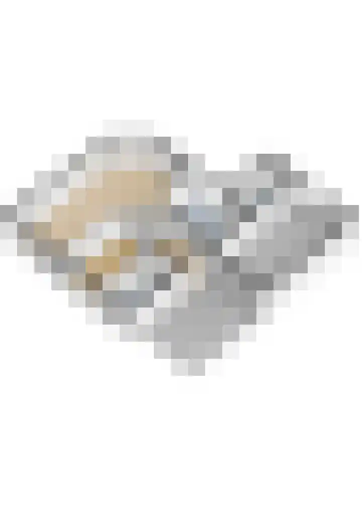 Doerebout 26 Koudum thumbnail 66