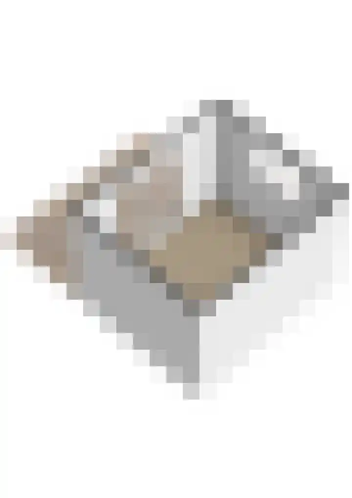 Doerebout 26 Koudum thumbnail 69
