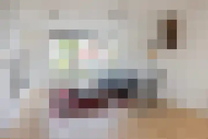 Doerebout 26 Koudum thumbnail 7