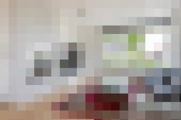 Doerebout 26 Koudum thumbnail 9