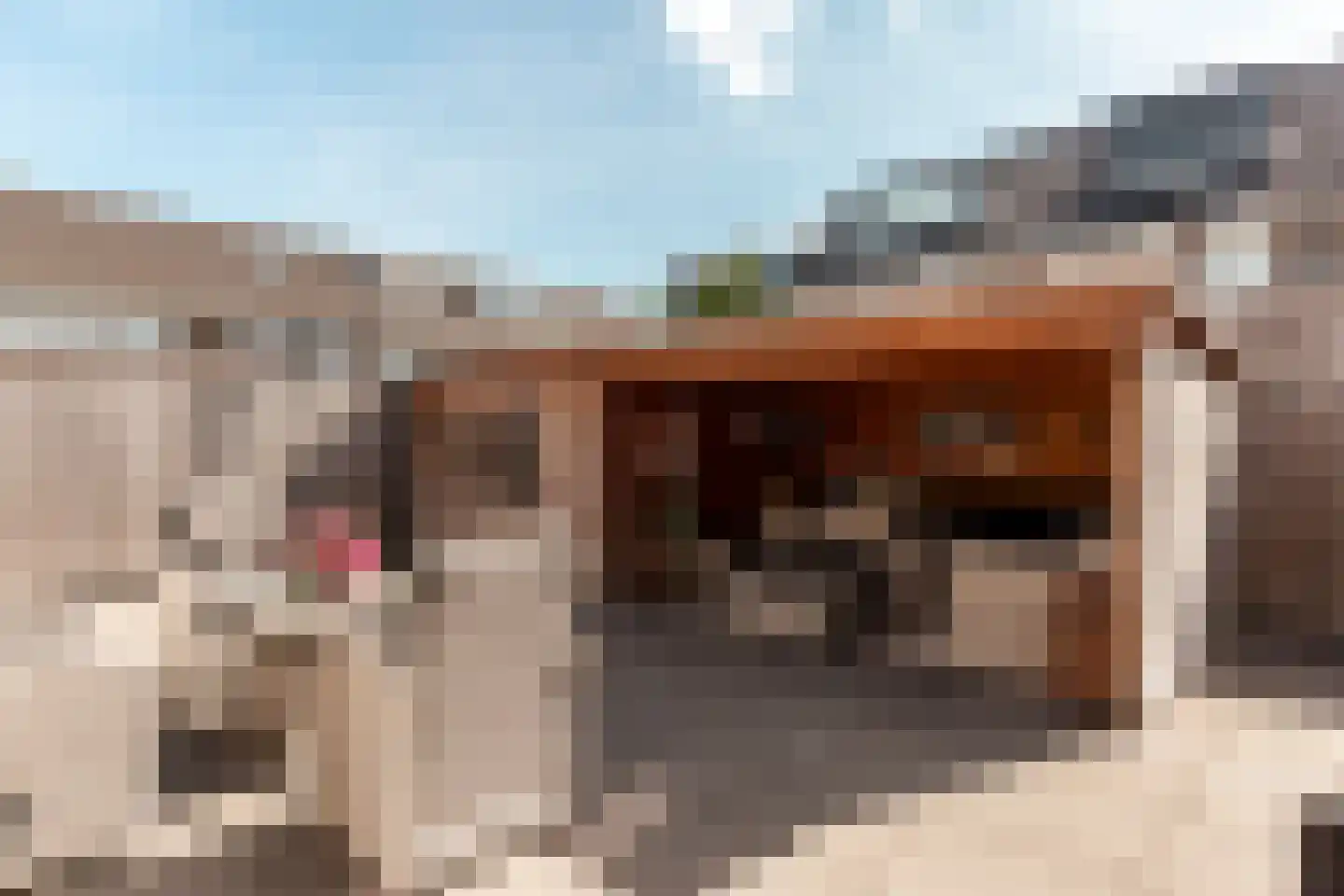 Doerianstraat 33 Almere thumbnail 31