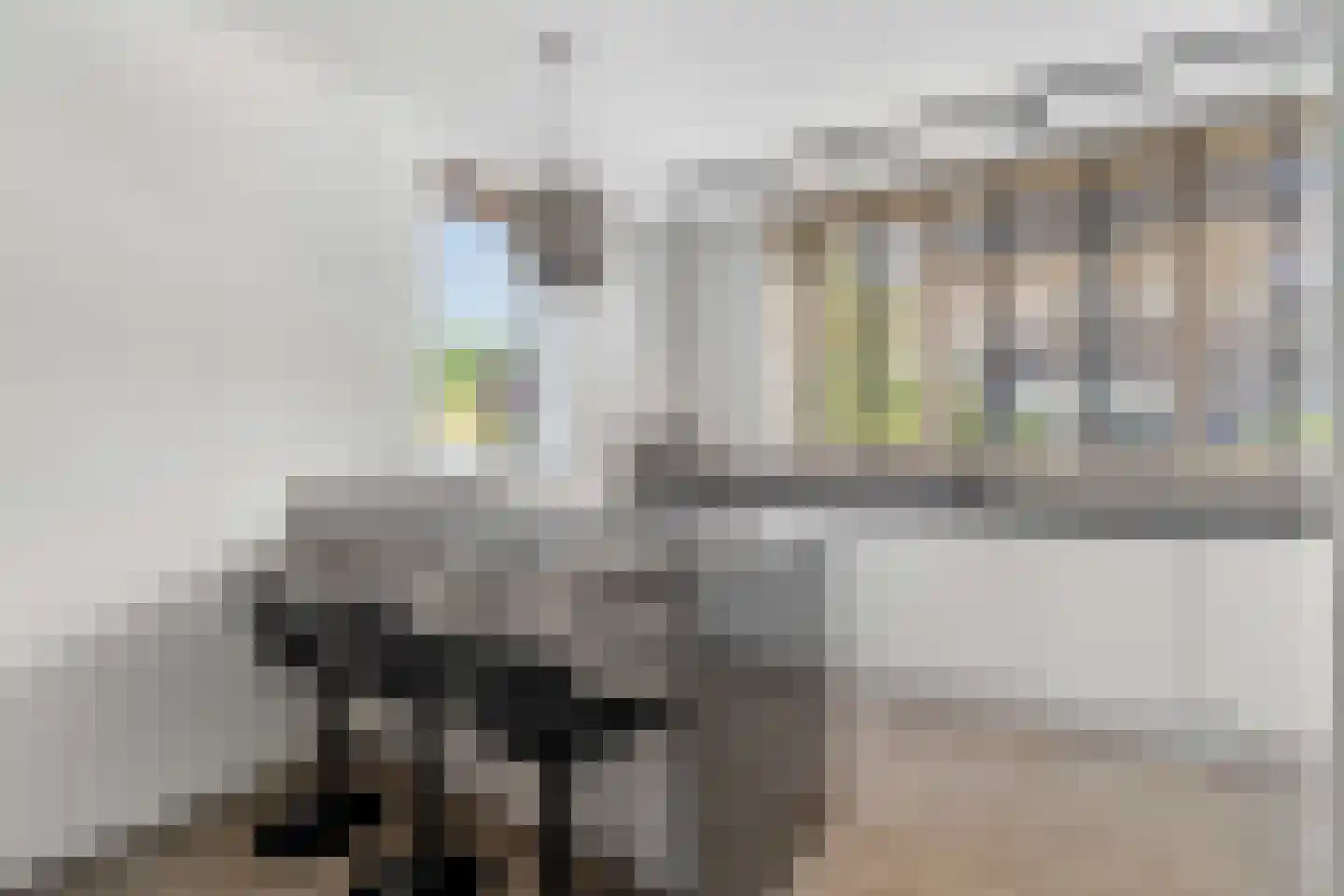 Doerianstraat 39 Almere thumbnail 24