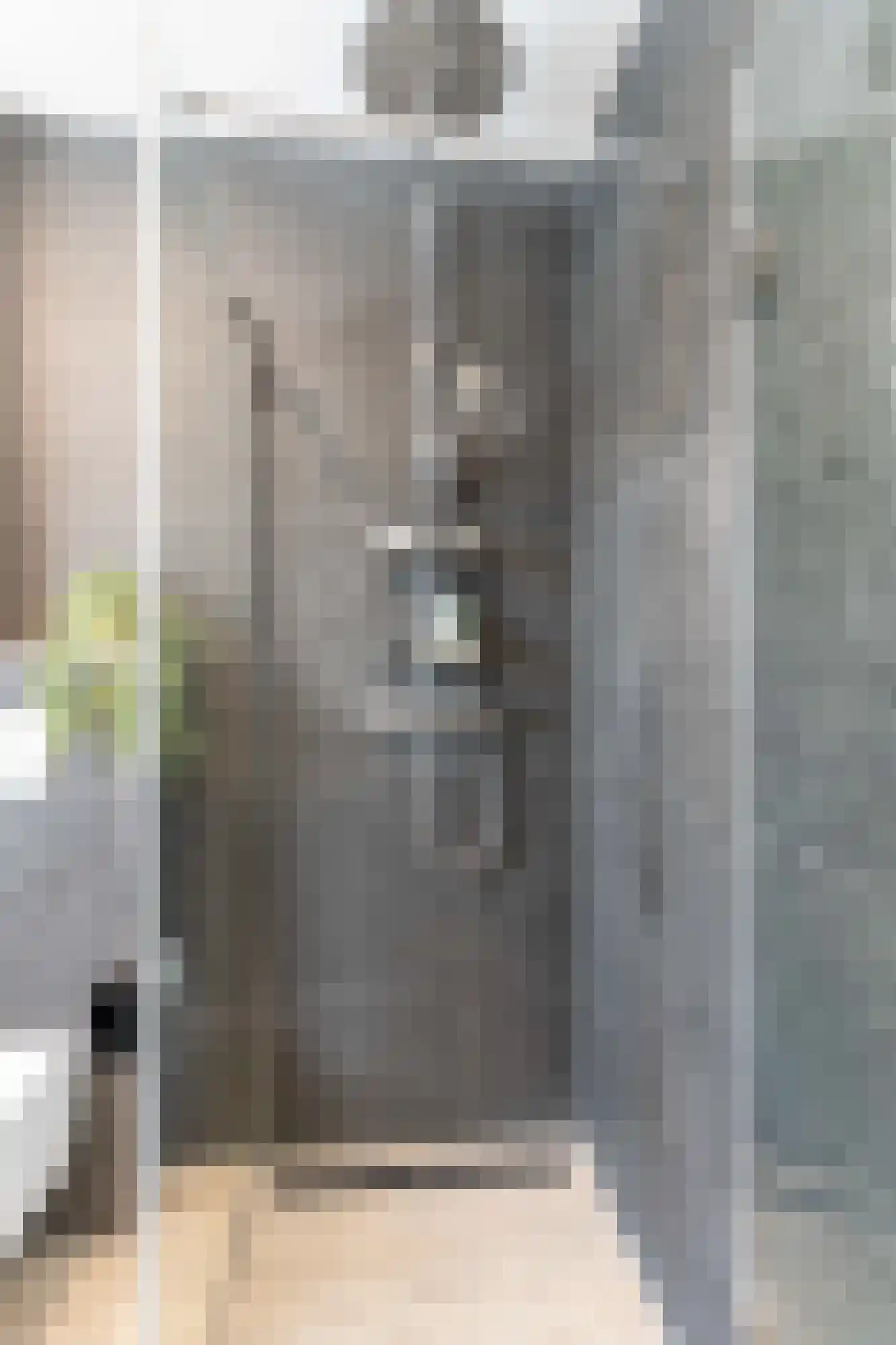 Doerianstraat 39 Almere thumbnail 36