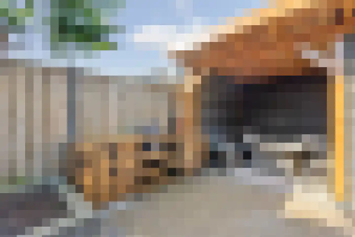 Doerianstraat 39 Almere thumbnail 54