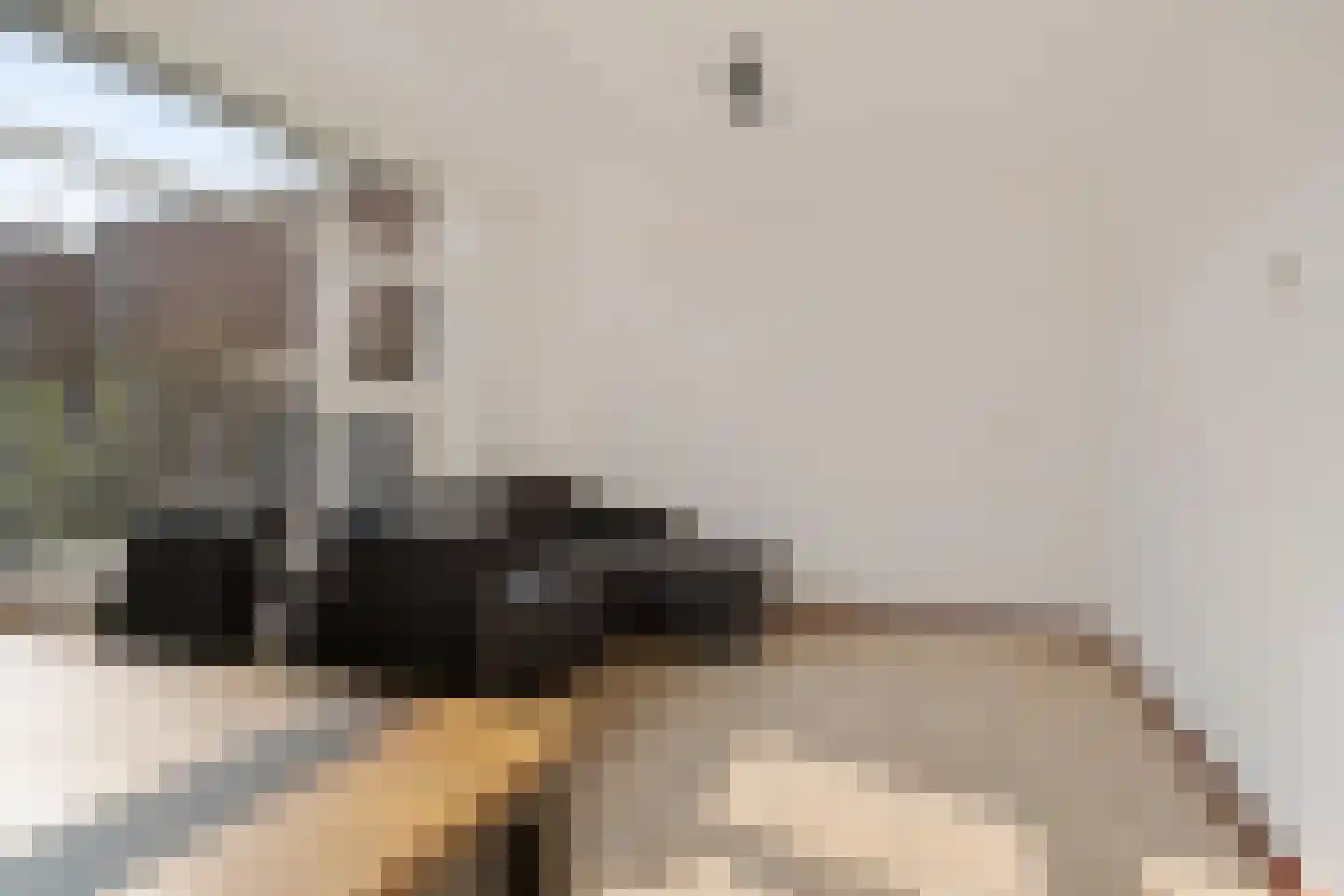 Does 18 Rotterdam thumbnail 14