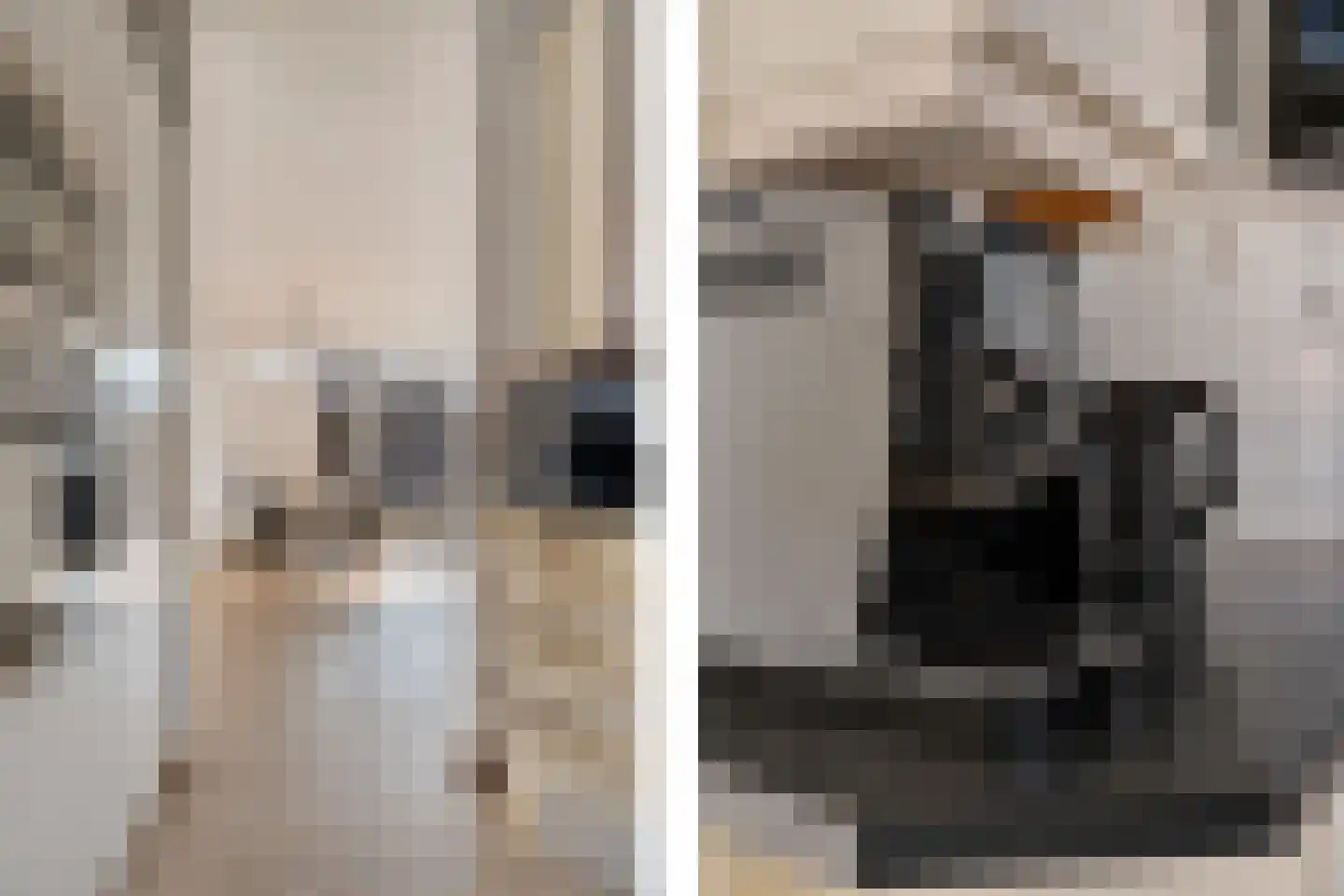 Does 18 Rotterdam thumbnail 20