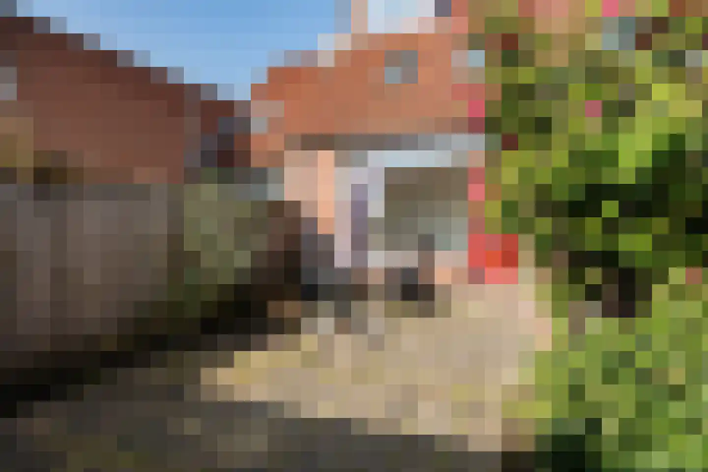 Does 18 Rotterdam thumbnail 22