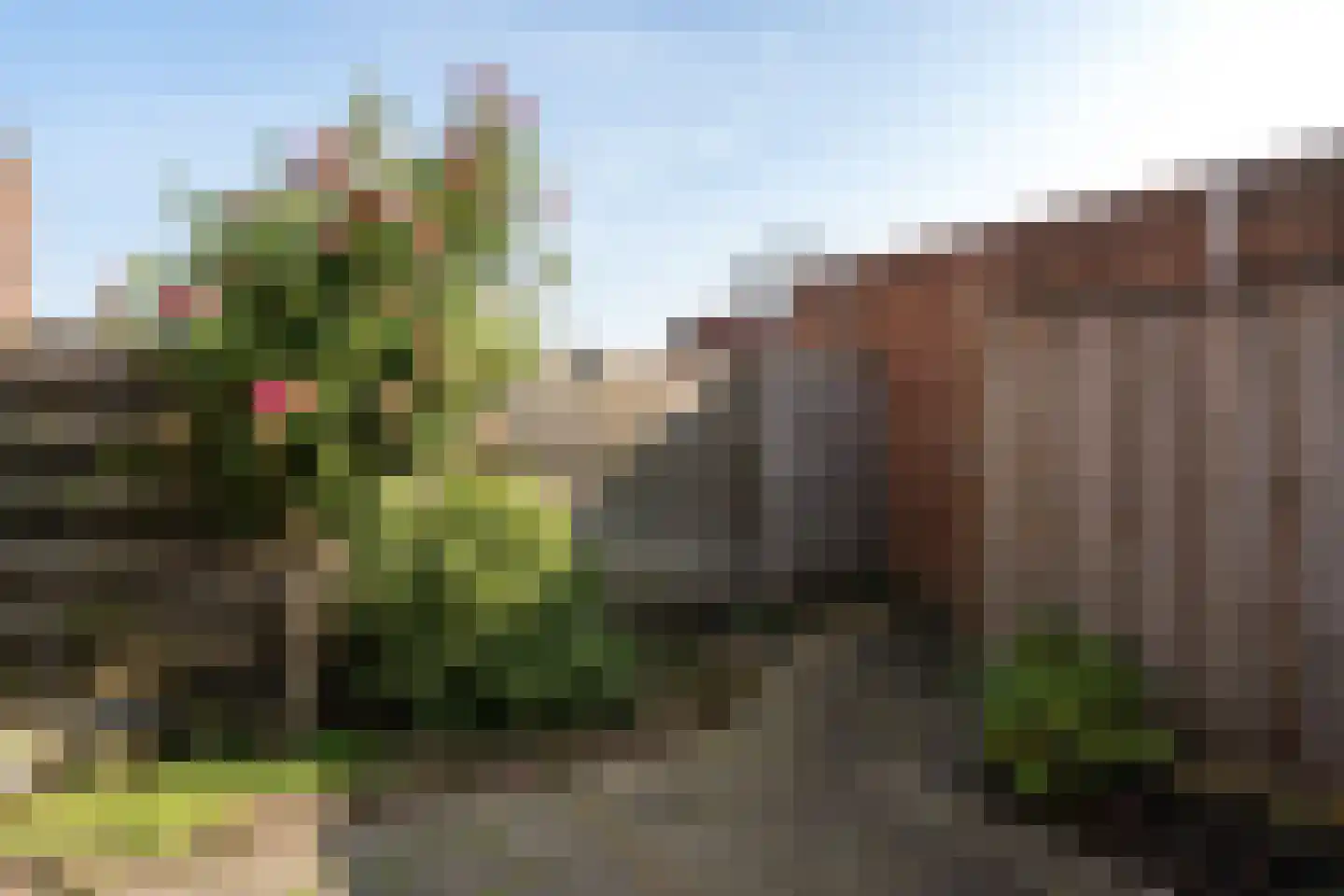 Does 18 Rotterdam thumbnail 23