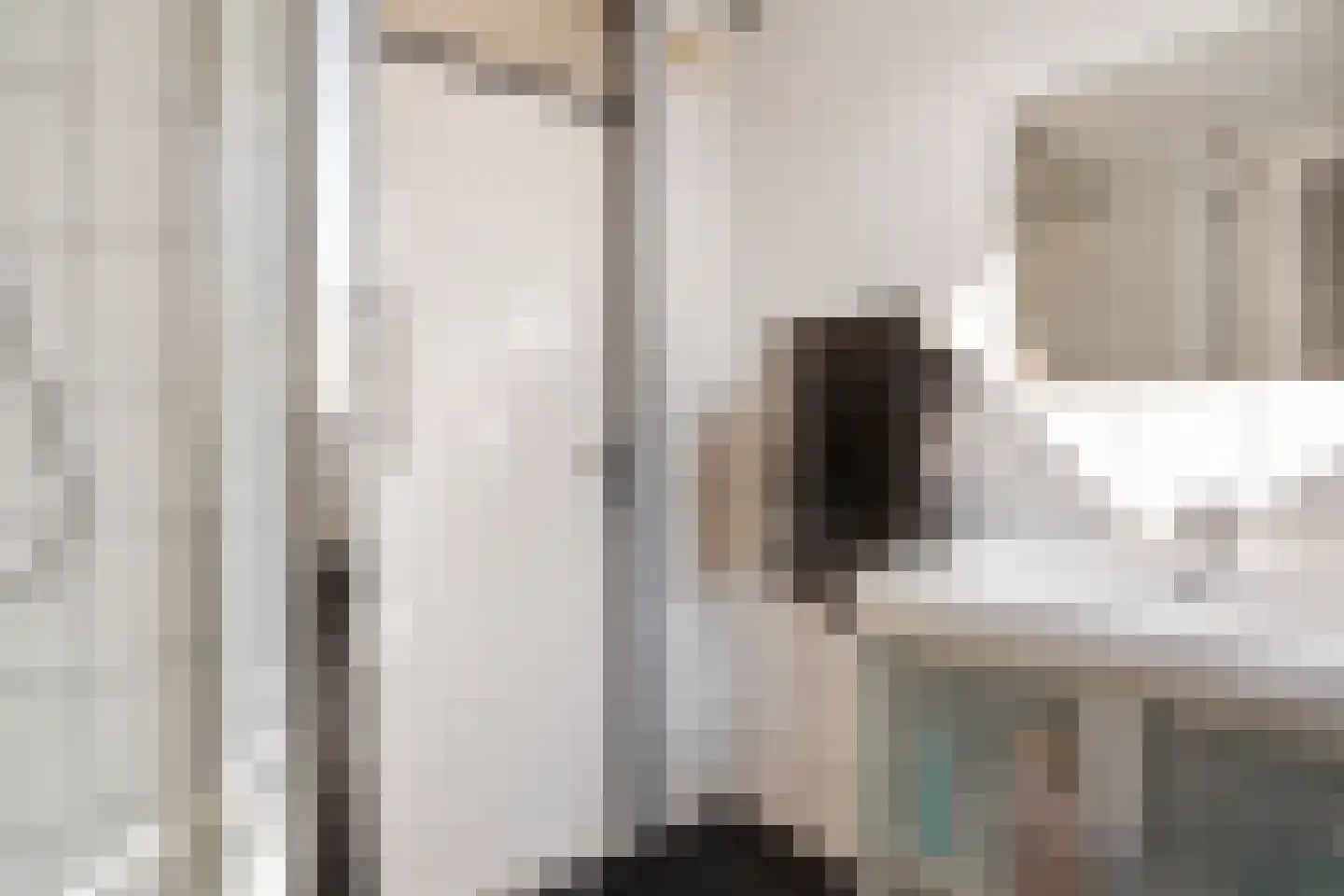 Does 18 Rotterdam thumbnail 32