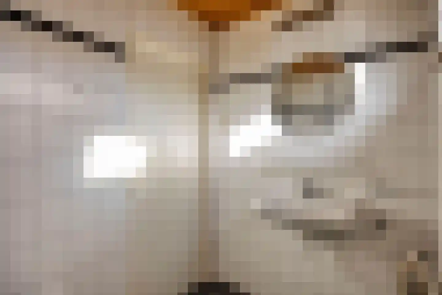 Does 18 Zwolle thumbnail 16
