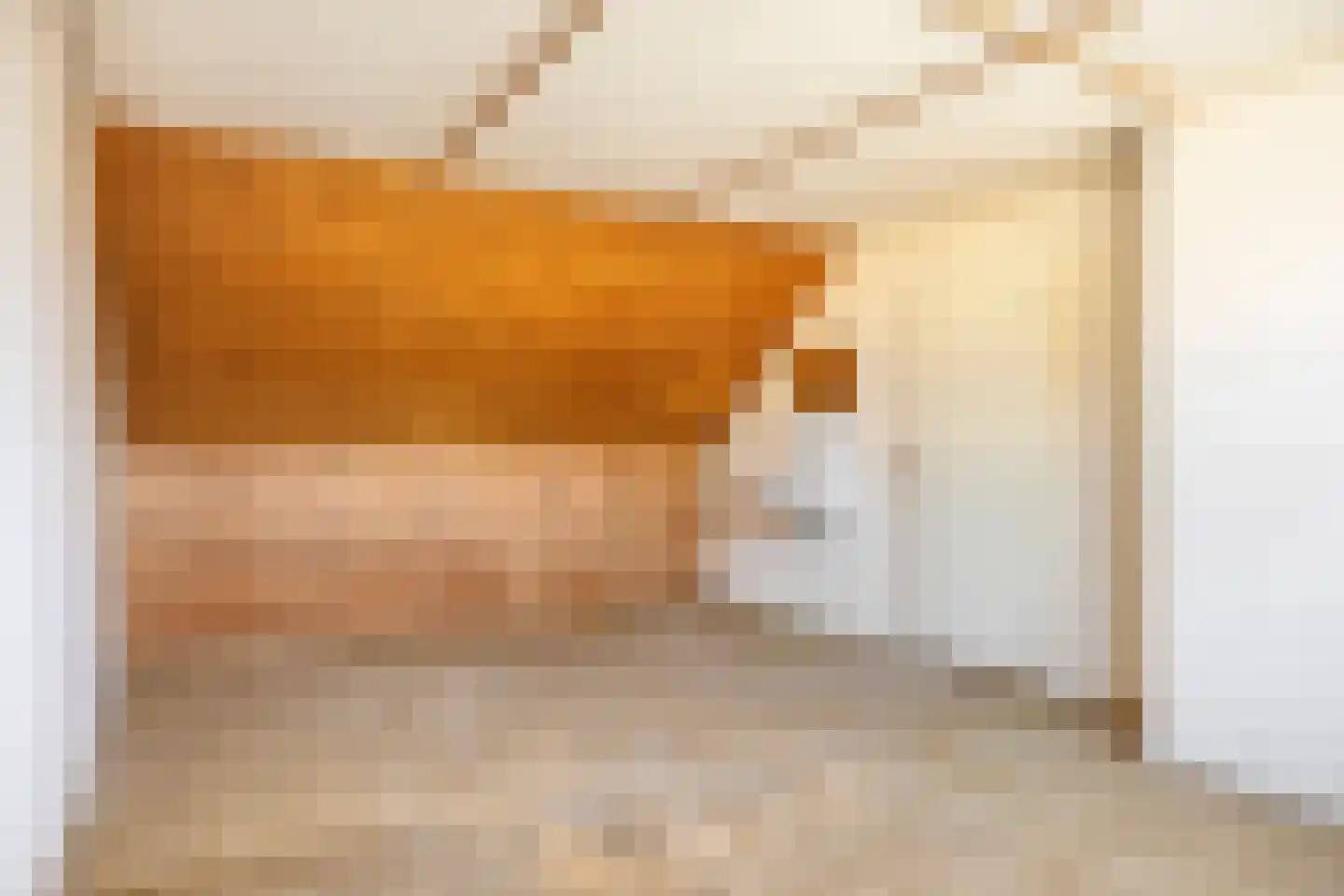 Does 18 Zwolle thumbnail 24