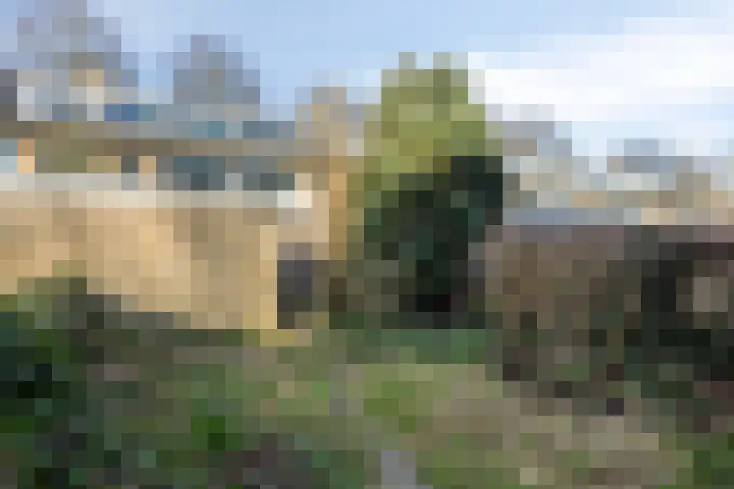 Does 18 Zwolle thumbnail 25