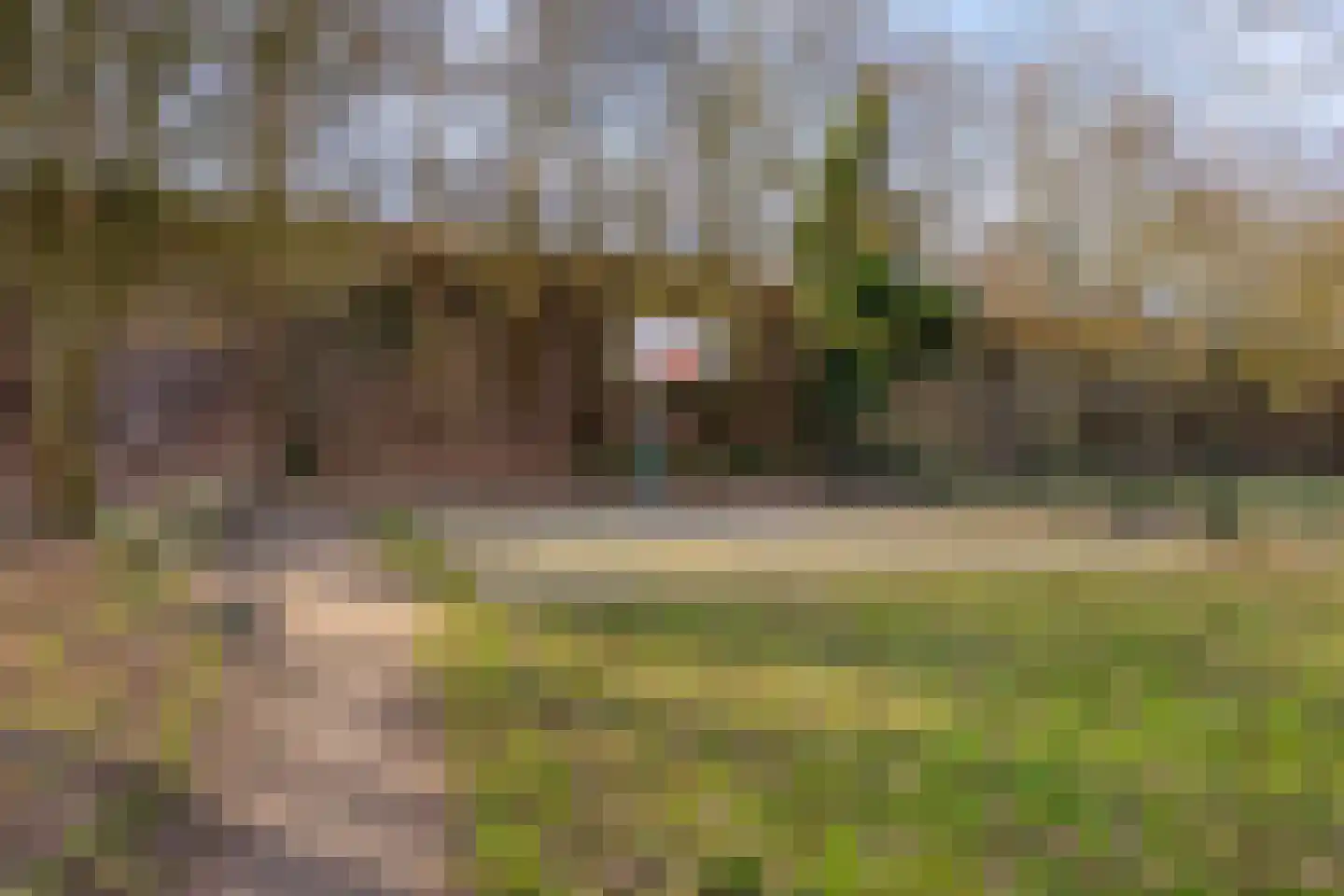 Does 18 Zwolle thumbnail 33
