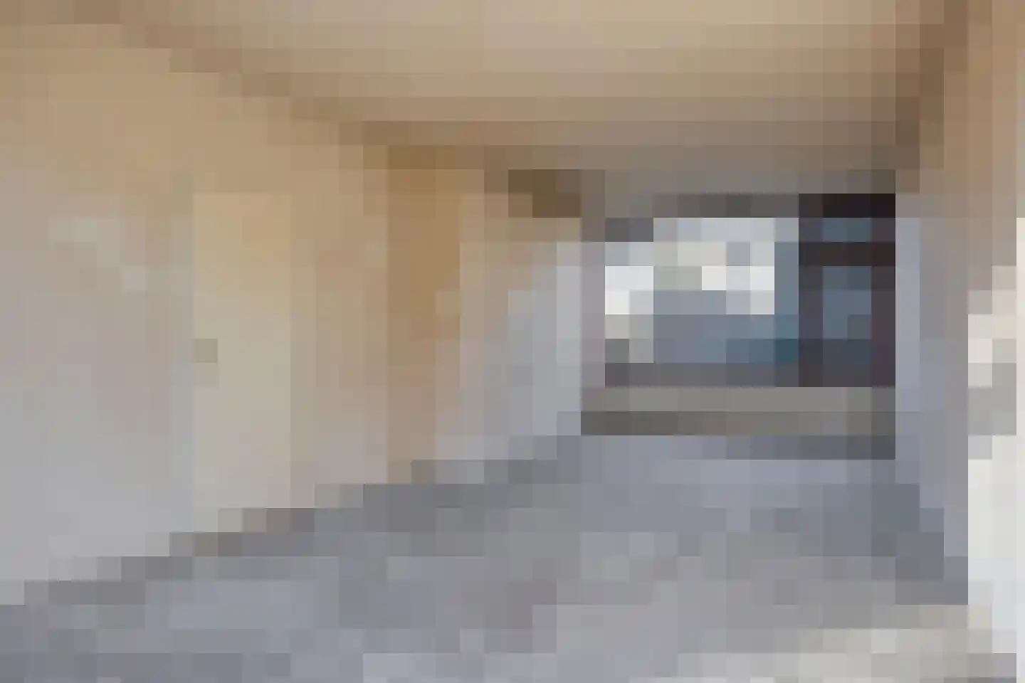 Does 18 Zwolle thumbnail 8