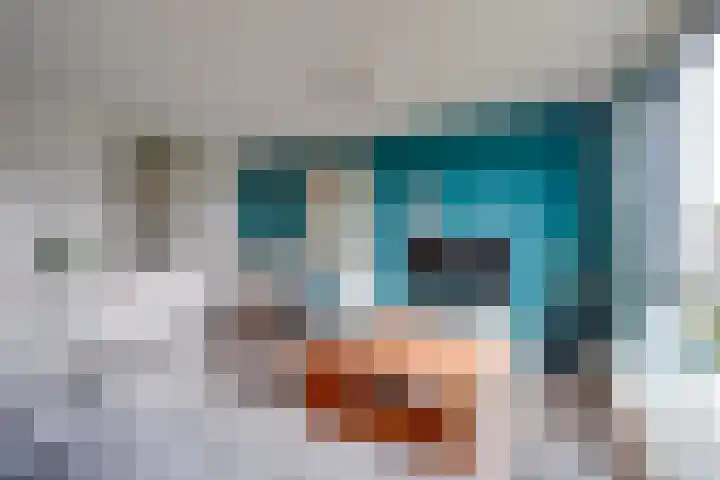 Does 41 De Meern thumbnail 10