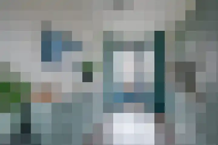 Does 41 De Meern thumbnail 14