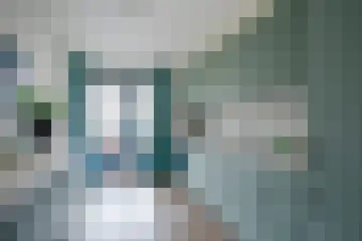 Does 41 De Meern thumbnail 15