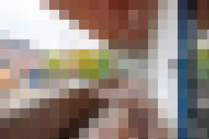 Does 41 De Meern thumbnail 19