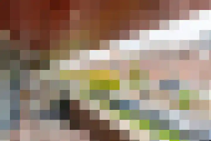Does 41 De Meern thumbnail 21