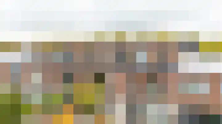 Does 41 De Meern thumbnail 22