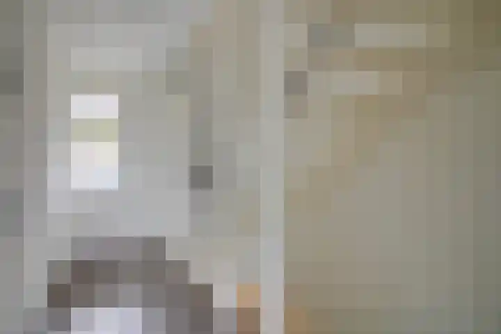 Does 41 De Meern thumbnail 23