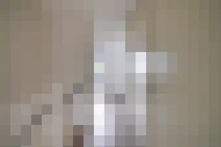 Does 41 De Meern thumbnail 24