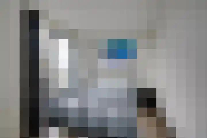Does 41 De Meern thumbnail 27
