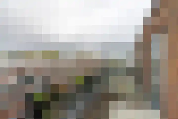 Does 41 De Meern thumbnail 29