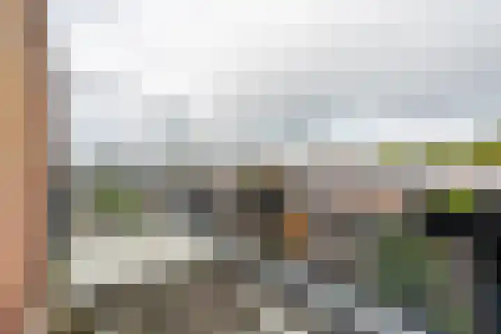 Does 41 De Meern thumbnail 30