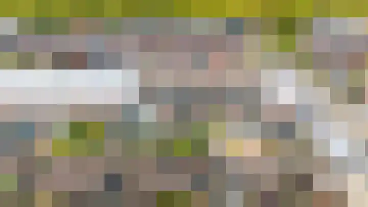 Does 41 De Meern thumbnail 31