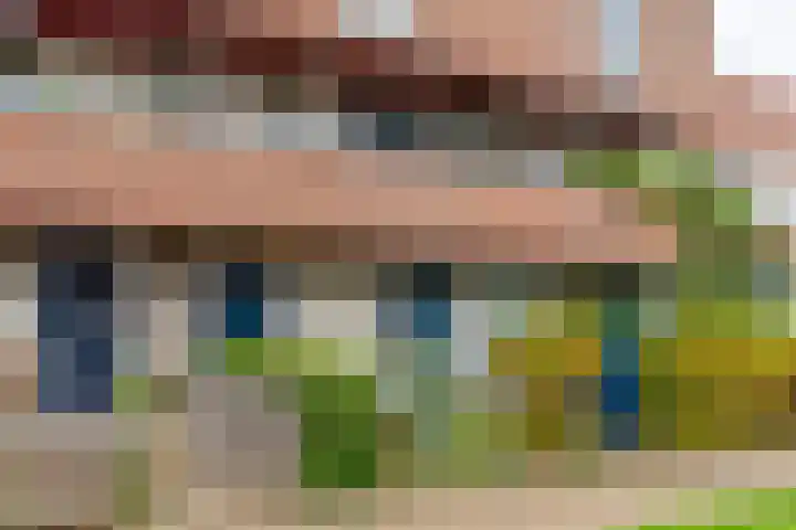 Does 41 De Meern thumbnail 43