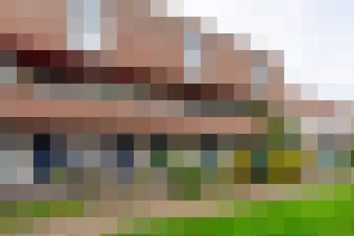 Does 41 De Meern thumbnail 44