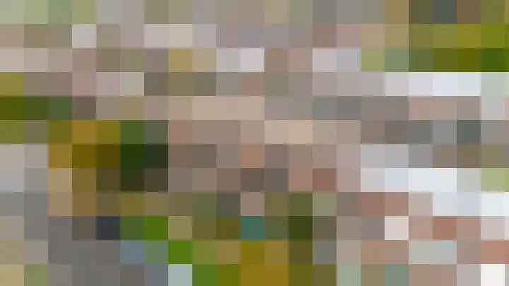 Does 41 De Meern thumbnail 46