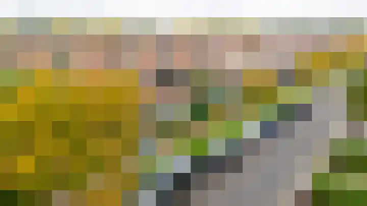 Does 41 De Meern thumbnail 47