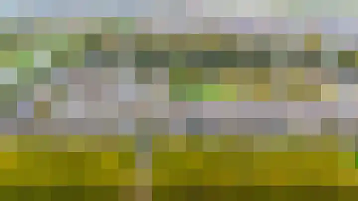 Does 41 De Meern thumbnail 48
