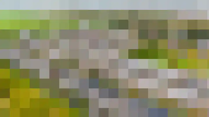 Does 41 De Meern thumbnail 49