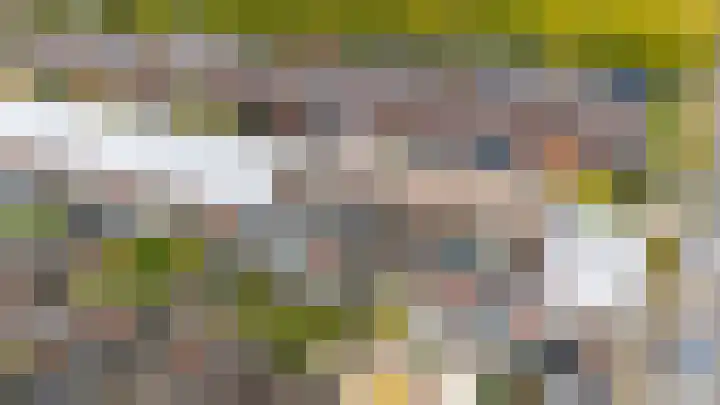 Does 41 De Meern thumbnail 5