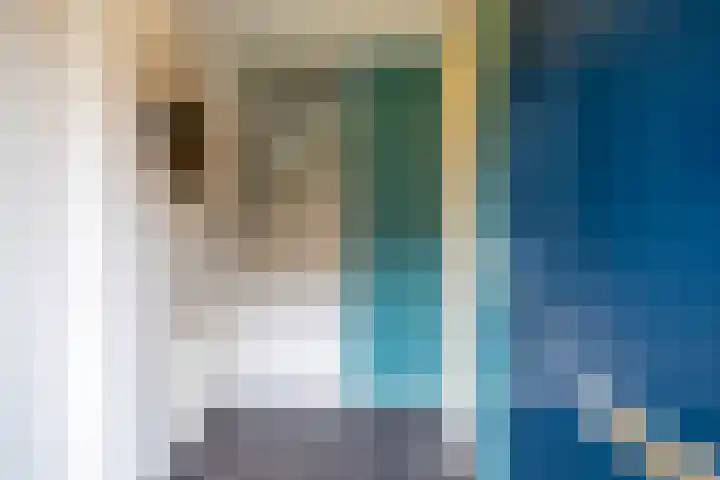 Does 41 De Meern thumbnail 6