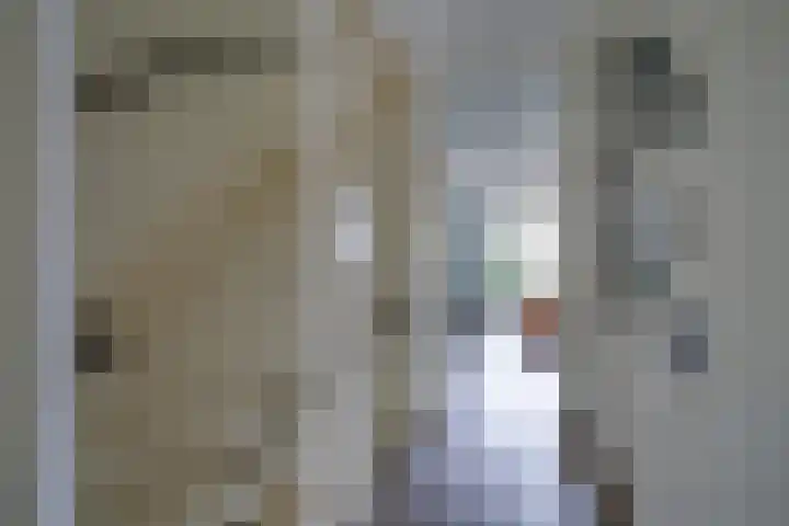 Does 41 De Meern thumbnail 7